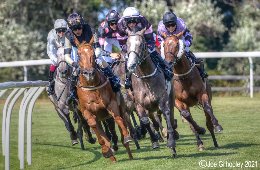 Musselburgh Horse Racing Musselburgh Horse Racing