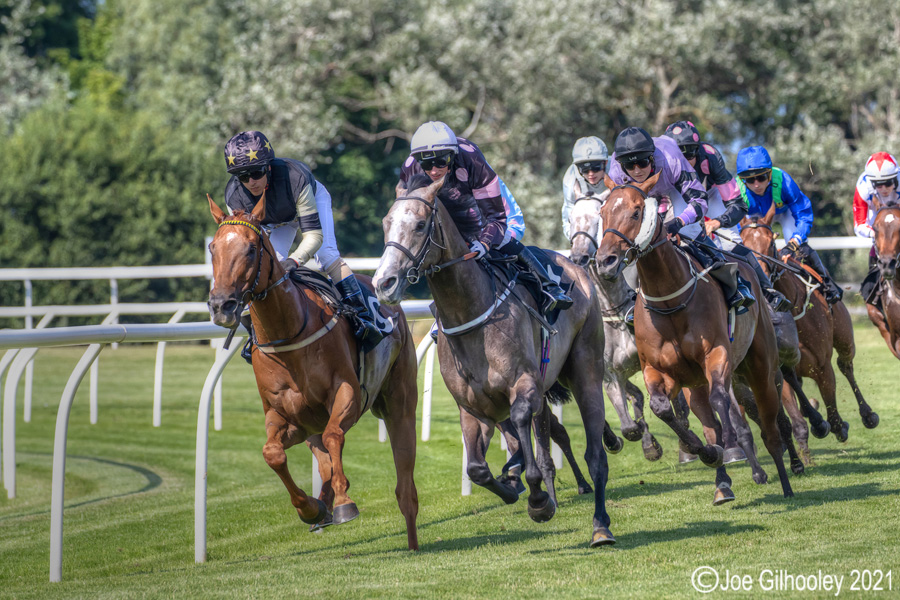 Musselburgh Horse Racing Musselburgh Horse Racing