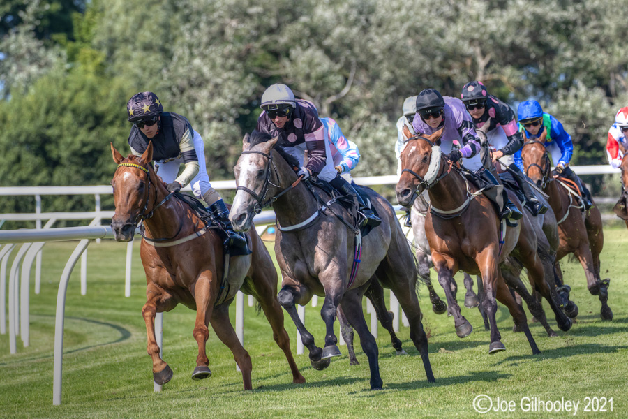 Musselburgh Horse Racing Musselburgh Horse Racing