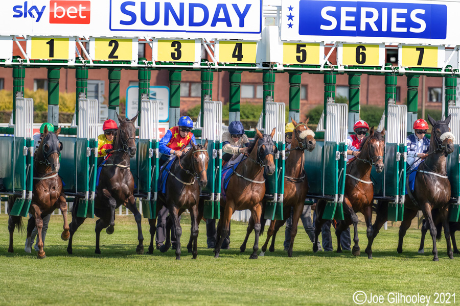 Musselburgh Horse Racing Musselburgh Racing