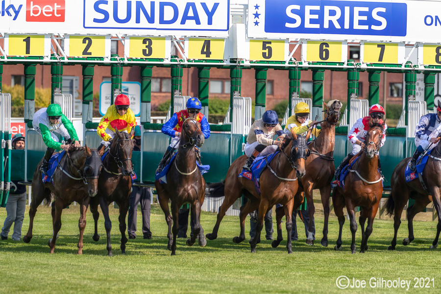 Musselburgh Horse Racing Musselburgh Racing