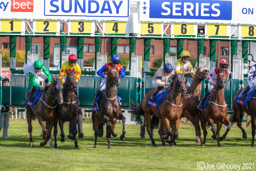 Musselburgh Horse Racing Musselburgh Racing