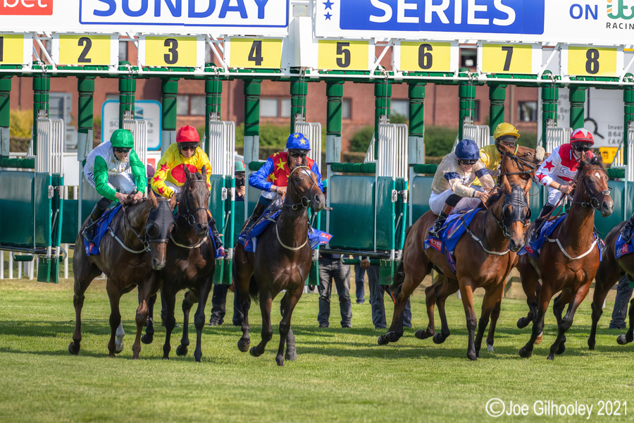 Musselburgh Horse Racing Musselburgh Racing