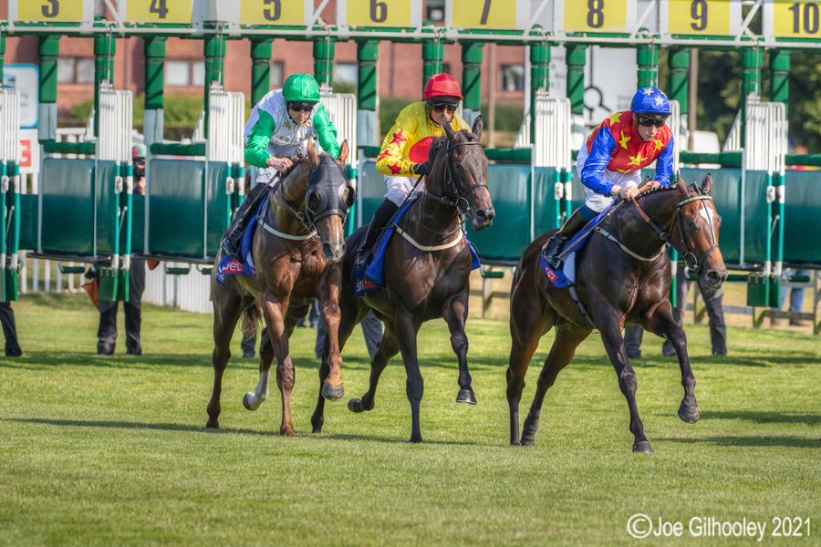 Musselburgh Horse Racing Musselburgh Racing