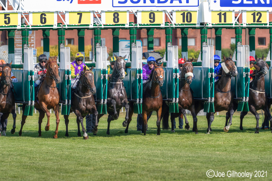 Musselburgh Horse Racing Musselburgh Horse Racing