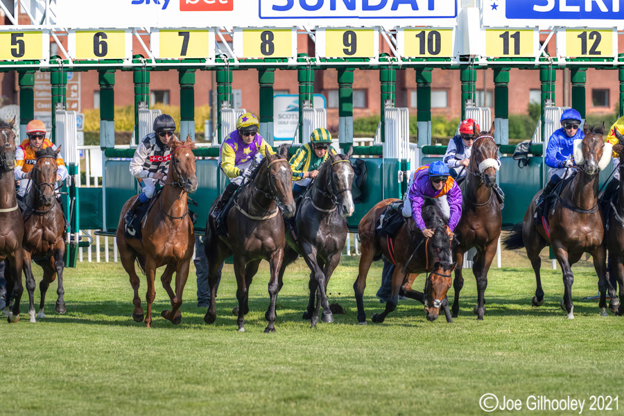Musselburgh Horse Racing Musselburgh Horse Racing