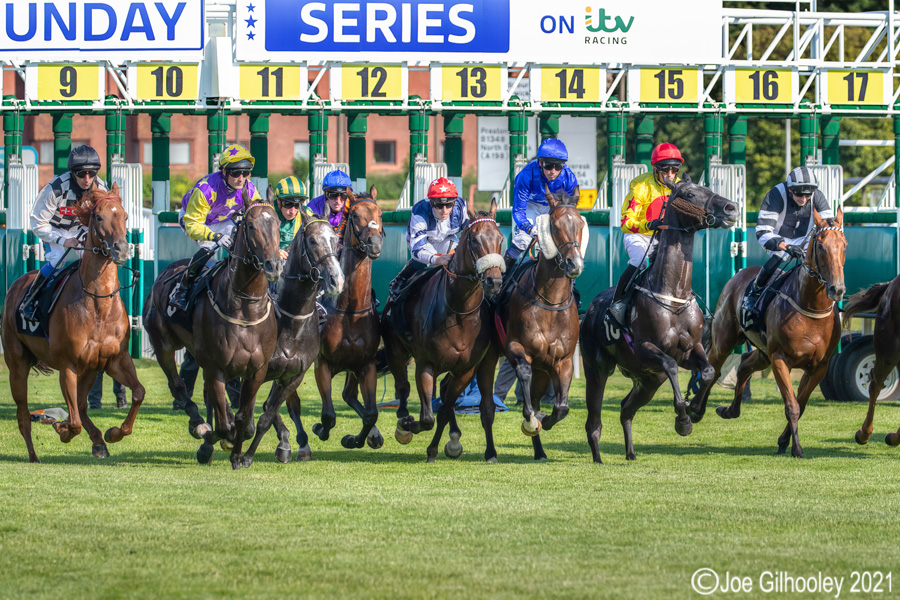 Musselburgh Horse Racing Musselburgh Horse Racing