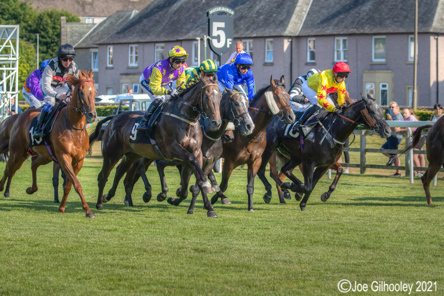 Musselburgh Horse Racing Musselburgh Horse Racing