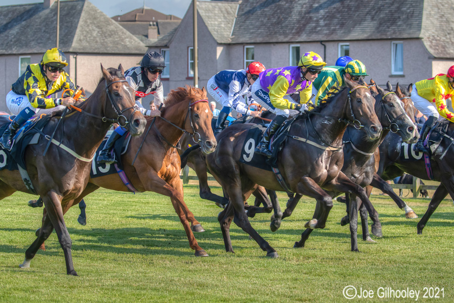 Musselburgh Horse Racing Musselburgh Horse Racing