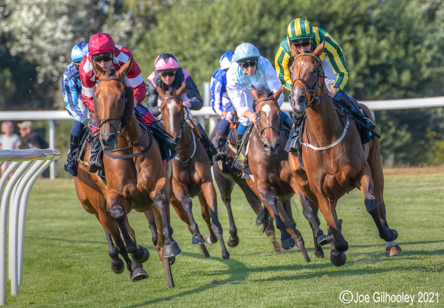 Musselburgh Horse Racing Musselburgh Horse Racing