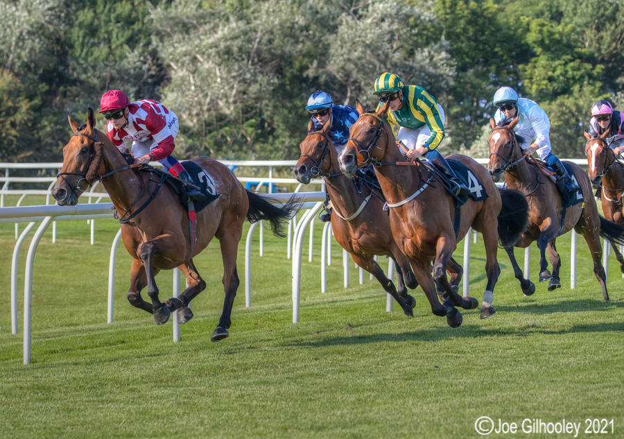 Musselburgh Horse Racing Musselburgh Horse Racing