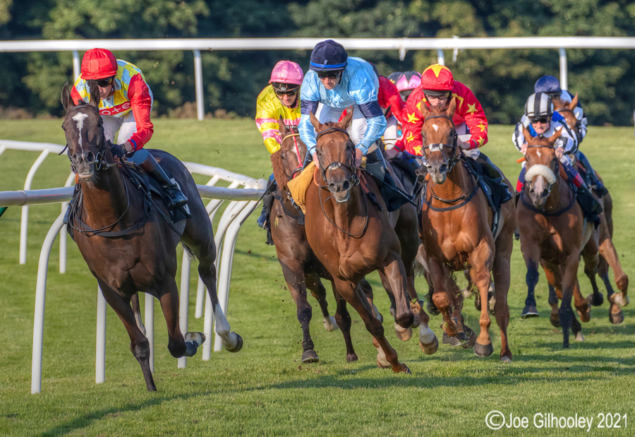 Musselburgh Horse Racing Musselburgh Horse Racing