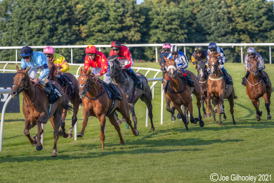 Musselburgh Horse Racing Musselburgh Horse Racing