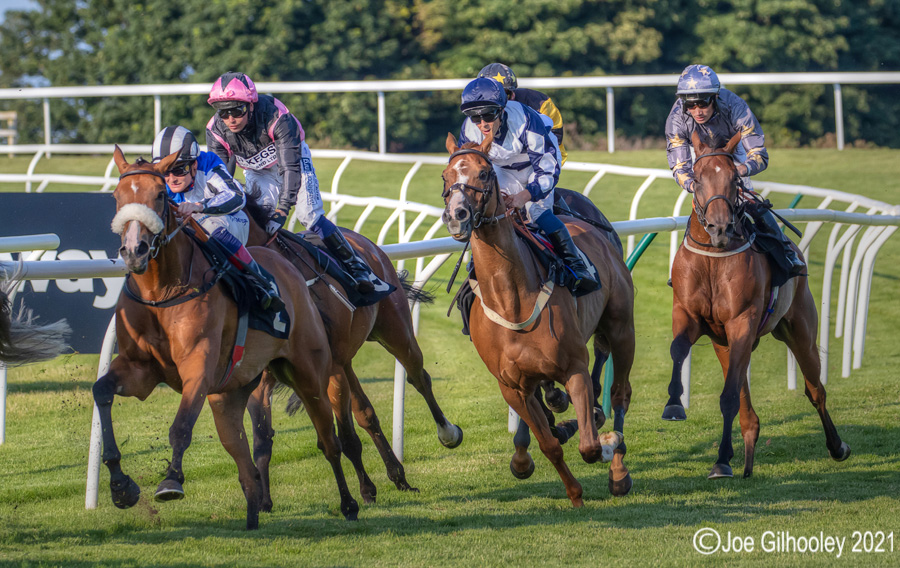 Musselburgh Horse Racing Musselburgh Horse Racing