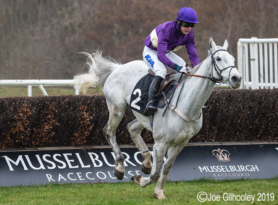 Musselburgh Horse Racing