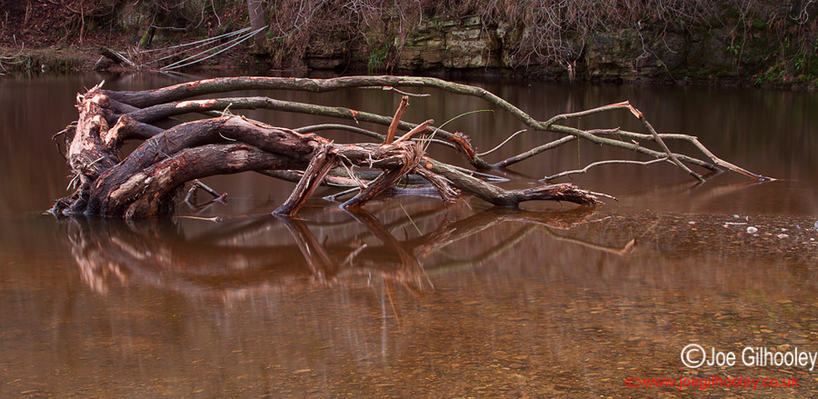 River Esk Powdermill Roslin Glen - 4th January 2014