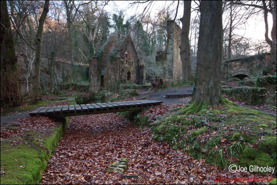 Gunpowder Mill Roslin Glen - 11th January 2014