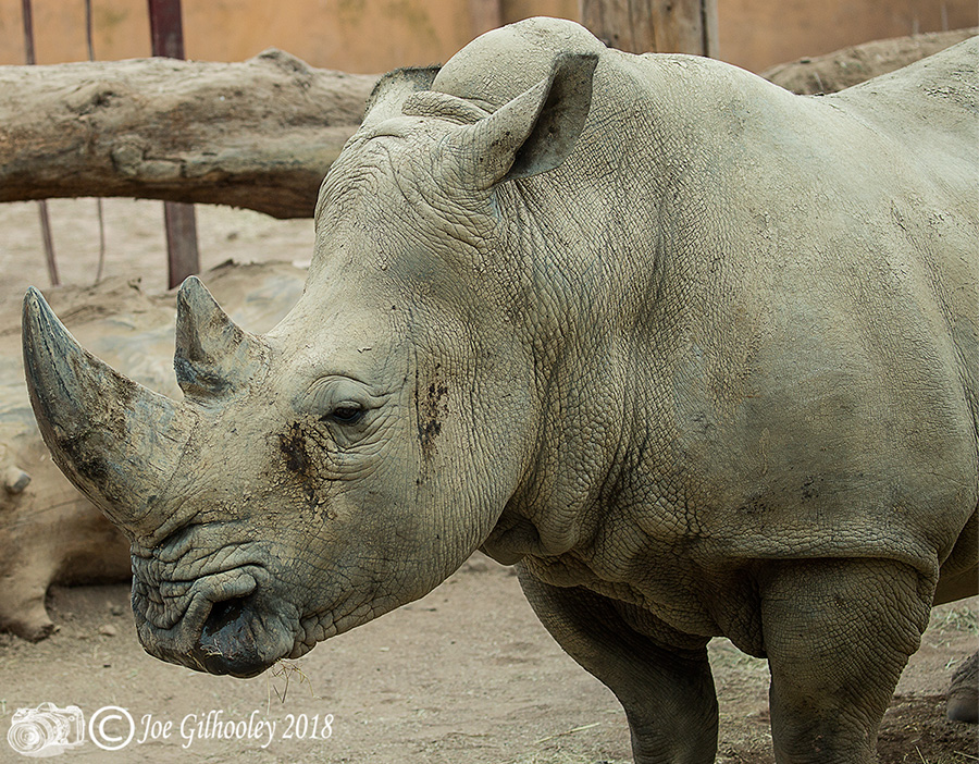 Blair Drummond Safari Park Blair Drummond Safari Park