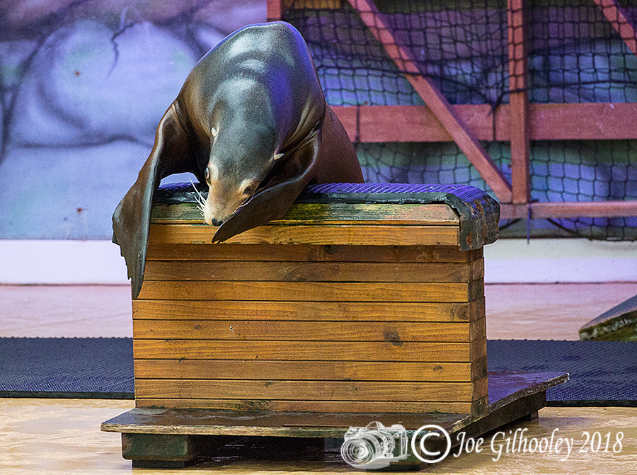 Blair Drummond Safari Park Blair Drummond Safari Park