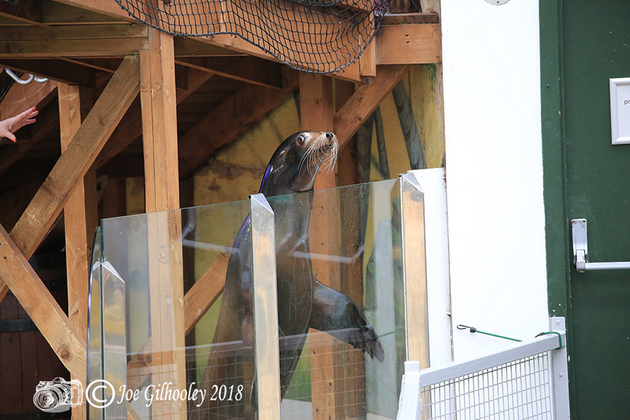 Blair Drummond Safari Park Blair Drummond Safari Park