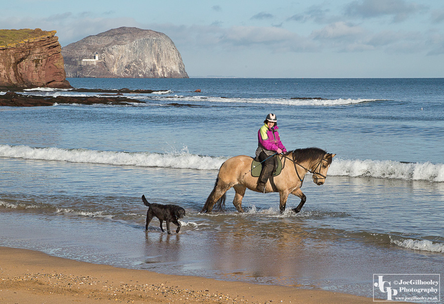 Horse riding on Seacliff Beach