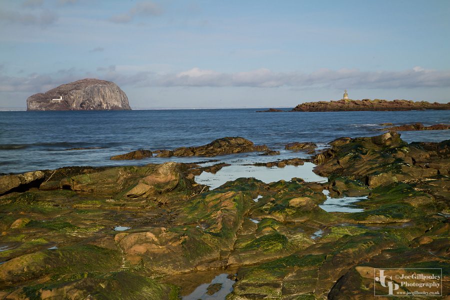 The Bass Rock from Seacliff Beach