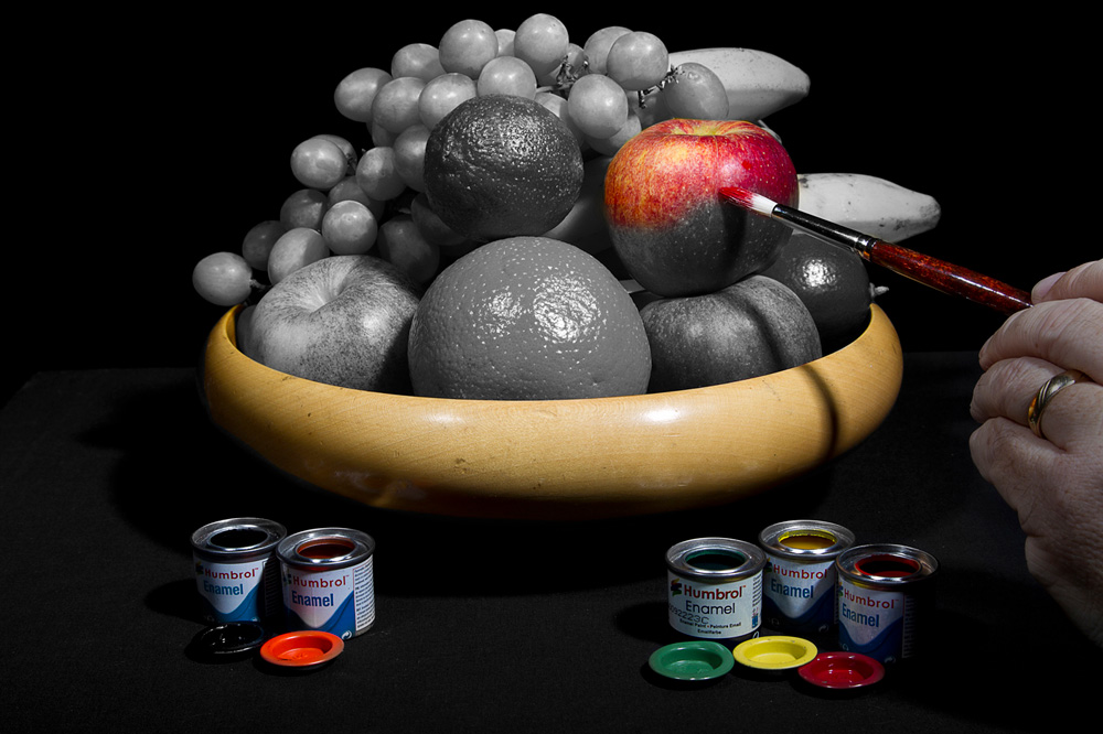 Badgers from a Hide Badgers from a Hide