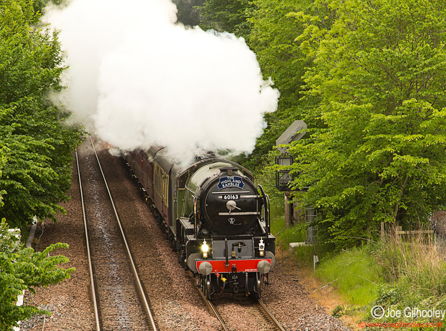Tornado 60163 Steam Train at Dunblane - "The Highland Rambler"