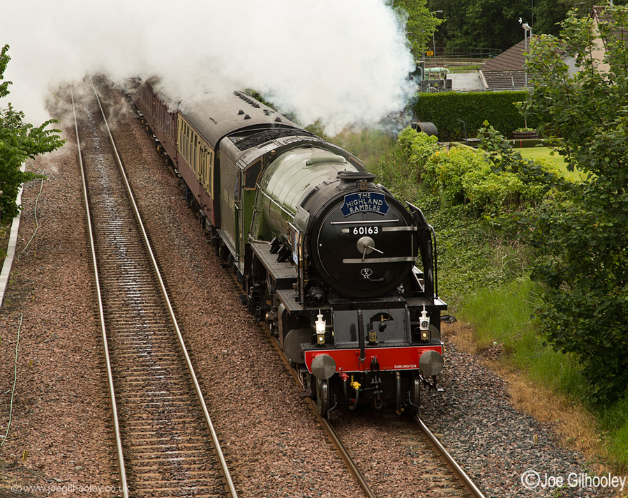 Tornado 60163 Steam Train at Dunblane - "The Highland Rambler"