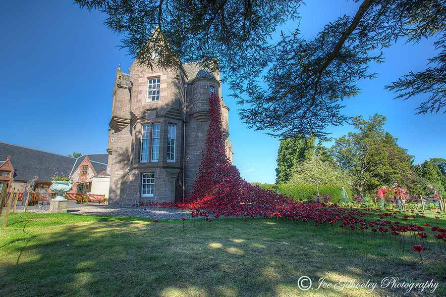 Poppies Weeping Window at The Black Watch Museum Perth