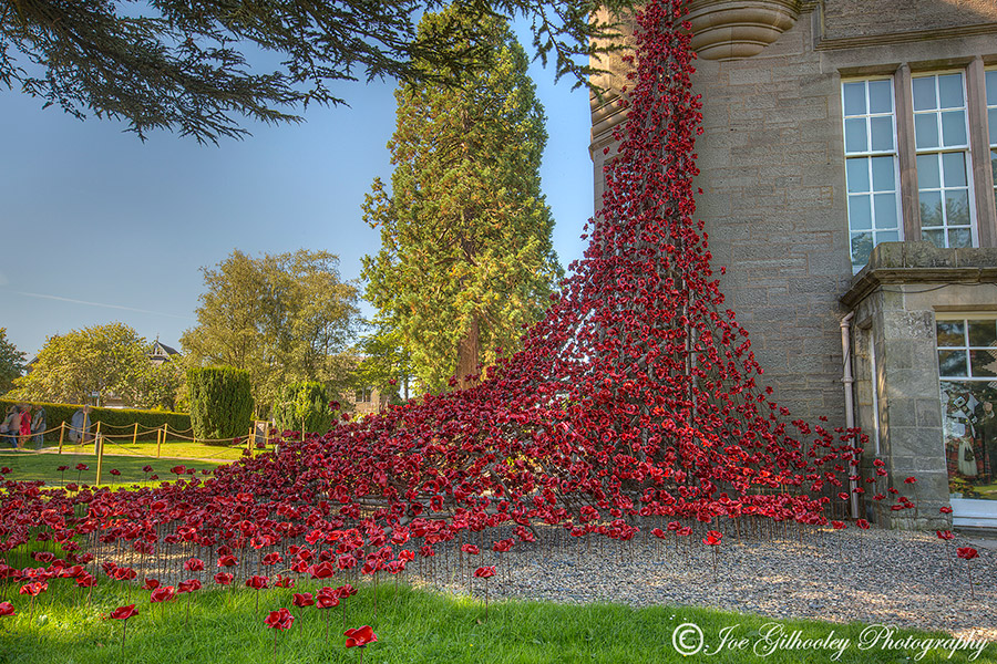 Poppies Weeping Window at The Black Watch Museum Perth