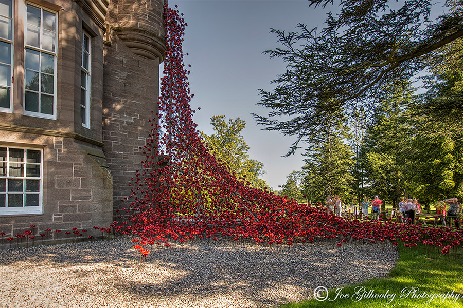 Poppies Weeping Window at The Black Watch Museum Perth