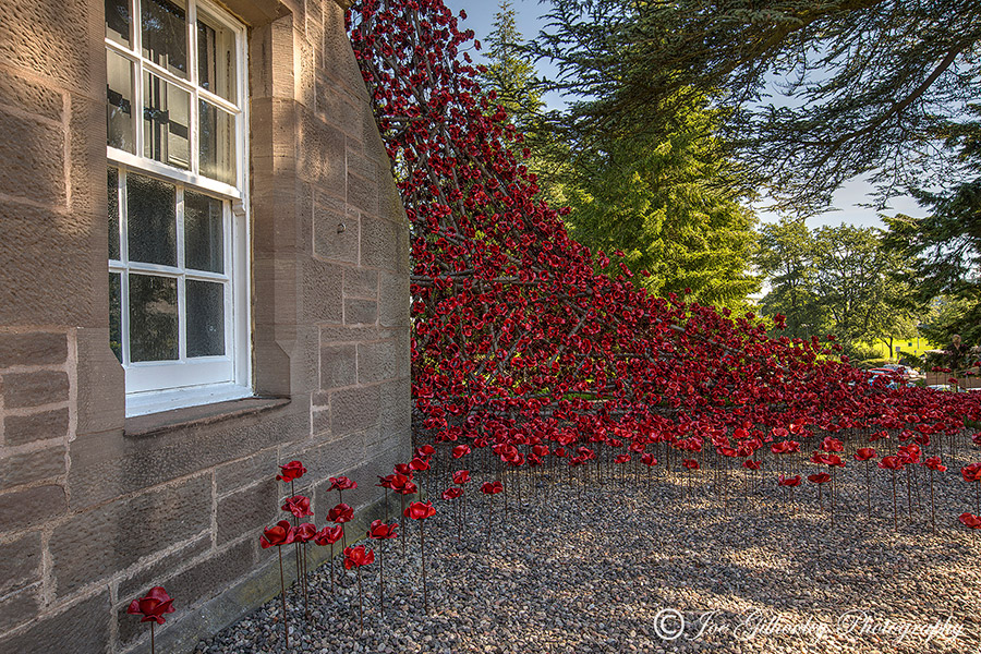 Poppies Weeping Window at The Black Watch Museum Perth