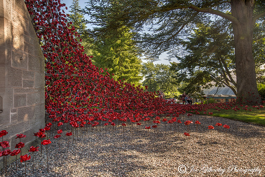 Poppies Weeping Window at The Black Watch Museum Perth