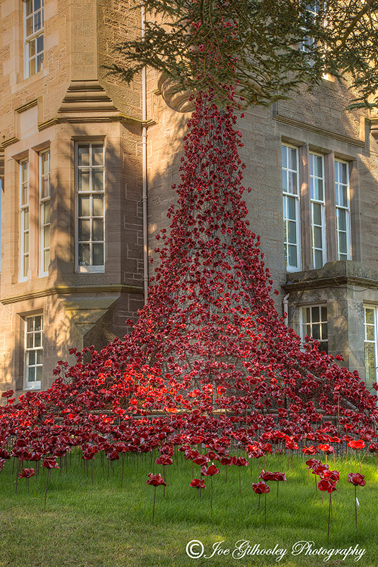 Poppies Weeping Window at The Black Watch Museum Perth